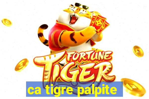 ca tigre palpite